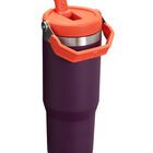 THE ICEFLOW FLIP STRAW TUMBLER | 0.89 L כוס עם קשית